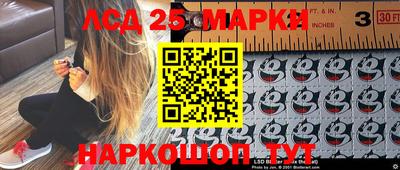 мяу мяу мука Гатчина