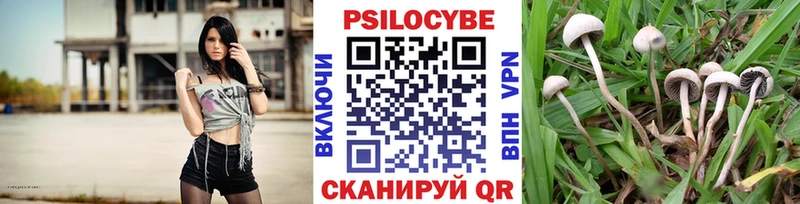 Псилоцибиновые грибы мухоморы Каменск-Уральский