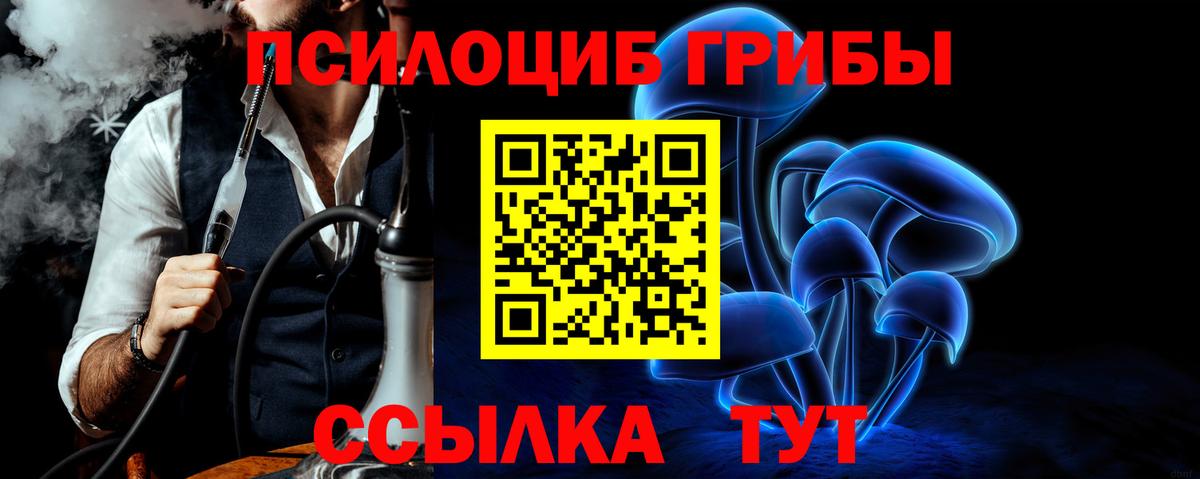 Псилоцибиновые грибы MAGIC MUSHROOMS  Вход с VPN  Каменск-Уральский 
